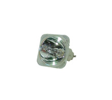 Hình ảnh WW-ASUV-5.