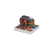 Hình ảnh SBTC-2-20+.