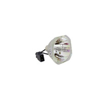 Hình ảnh WW-ZDVR-1.