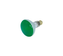 Hình ảnh WW-RF23-3.
