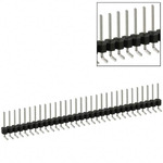 PEC31SGAN