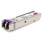 USFP-GB/SS24-D-R-C
