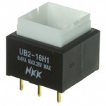 UB216SKG035F