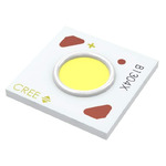 CXB1304-0000-00PC0U0A40G